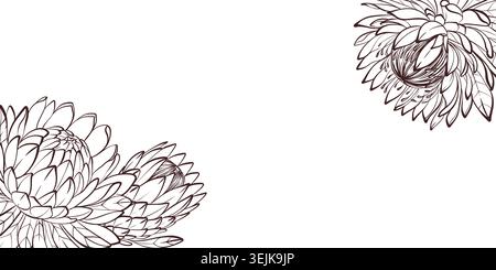 Protea floral banner, black and white line art vector illustration, elegant botanical composition for design Stock Vector