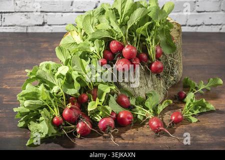 Red radishes on a wooden stump in front of a brick wall Stock Photo