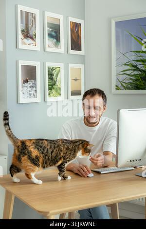 Happy web designer man play with cat take break from programming on computer at home on quarantine Stock Photo
