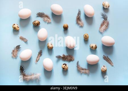 Organic white and quail eggs with feathers decor on blue. Abstract pattern. Stock Photo