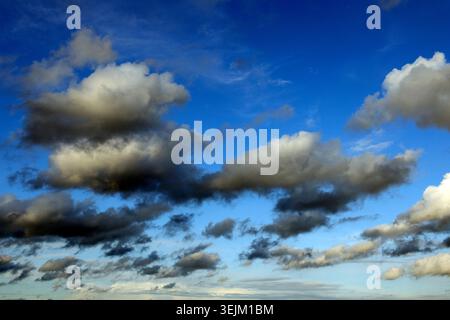 Cumulus clouds, rain clouds, thunderclouds, thunderstorms Stock Photo