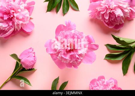 Floral pattern of pink peony flowers on pink. Stock Photo