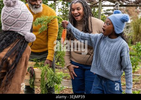 African American family harvesting in garden in knits, holding crate and carrot, copy space. Backyard, outdoors, rustic, cozy, a Stock Photo