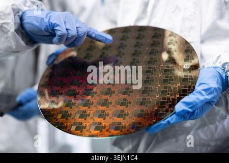 Working together, silicon wafer close up and men in automated fabrication plant cleanroom. Examining semiconductor substrate, bunny suit and coworkers analyzing microelectronics defects Stock Photo