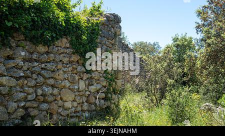 The scene shows the stone ruins of the Moorish village of Atzuvieta covered in ivy and wild vegetation under bright sunlight. The area is lush with gr Stock Photo