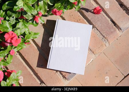 Empty book mockup on brick terrace near red catharanthus flowers hard light Stock Photo