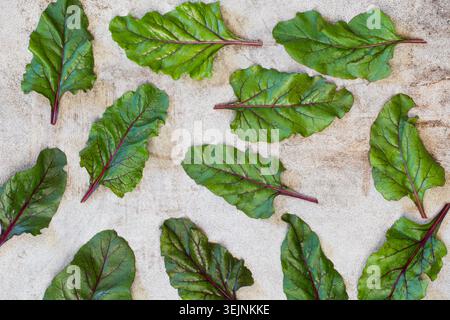 Raw beetroot leaves on board. Top view. Mangold. Stock Photo