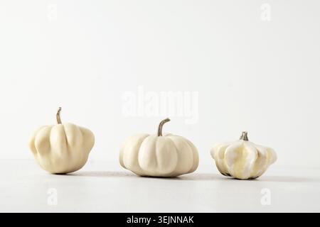 Autumn white pumpkins on white background. Top view. Thanksgiving Day. Stock Photo
