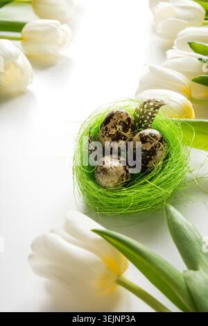 Easter pattern. White tulips, nest, eggs on white. Stock Photo