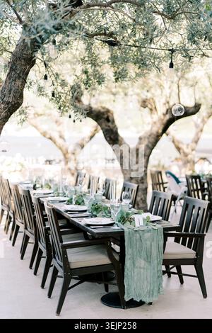 Relaxed Mediterraneanthemed table setting amidst gnarled branches and fragrant herb centerpieces Stock Photo