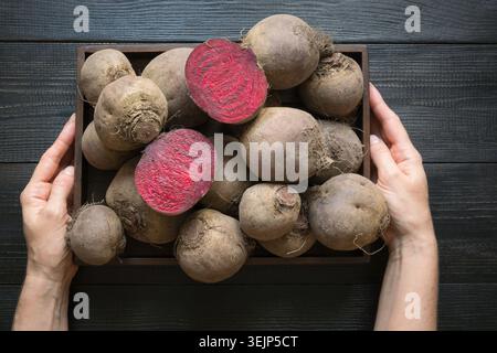 Homegrown beetroot in woman hands on wooden board. Stock Photo