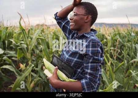 African farmer holding corn cobs and tablet in a corn field Stock Photo
