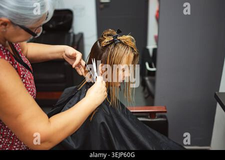 Hairdresser cutting woman's wet hair in a professional salon Stock Photo