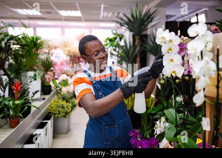 Young florist taking care of orchids in a flower shop Stock Photo