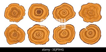 Tree trunk ring vector set. Luxury wood backgrounds. Hand drawn tree ring pattern abstract art. Concentric circle patterns organic stump, tree trunk in section textures. Templates posters illustration Stock Vector