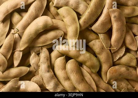 pile of dried whole bean pods in full frame, top view closeup, organic farming and seed saving concept Stock Photo
