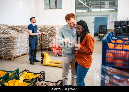 Two business partners are collaborating in a warehouse, checking produce inventory on a digital tablet Stock Photo