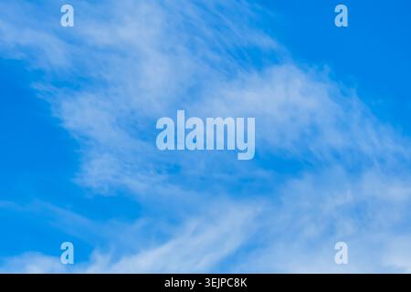Soft wispy cirrus clouds move across a clear blue morning sky, showing classic high‑level cloud patterns. Blayney, NSW, Australia. Stock Photo