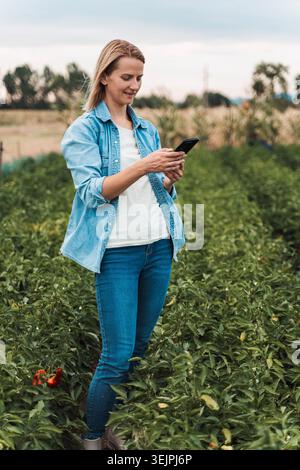 Farmer using smartphone in a pepper field for agricultural management Stock Photo