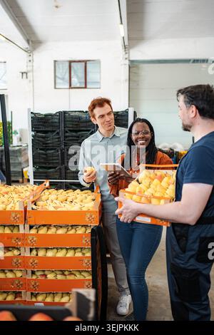 Workers checking pears during inventory in warehouse Stock Photo