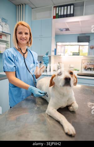 Veterinary check-up with a cheerful dog in a clinic Stock Photo