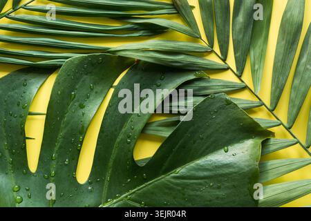 Tropical pattern of palms and monstera leaves on yellow. Top view. Summer vacation. Stock Photo