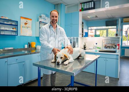 Dedicated veterinarian caring for a dog during a check-up Stock Photo