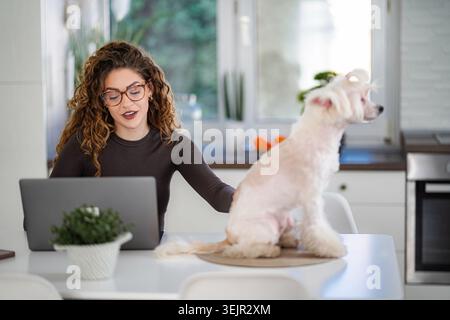 Woman working remotely with dog at home office Stock Photo