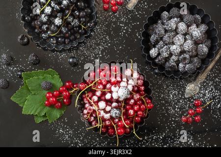Fresh red and black currant, black raspberries as dessert garnish sugar powder, branch red currant in bakery tart plate on a bla Stock Photo