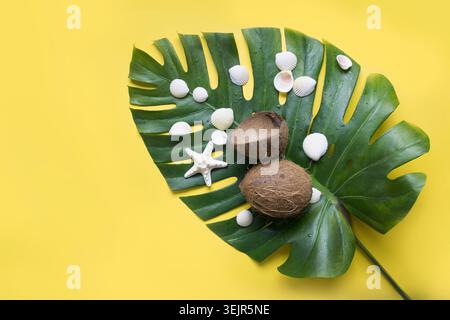 Beach tropical concept with monstera leaf, coconuts, seashells on yellow background. Top view. Stock Photo