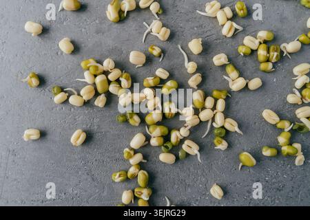 Sprouted mung beans scattered on gray stone surface for plant-based nutrition Stock Photo
