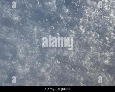 Winter snow white frost background Stock Photo