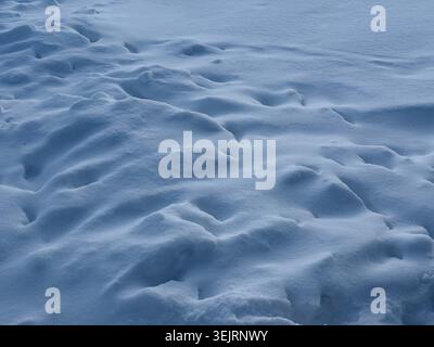 Snow winter snowing blizzard deep snow surface Stock Photo