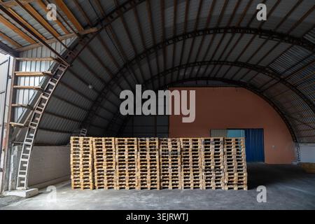 Stacks of empty wooden transport pallets sit on a concrete floor inside a large industrial warehouse hangar with a curved corrugated metal roof struct Stock Photo