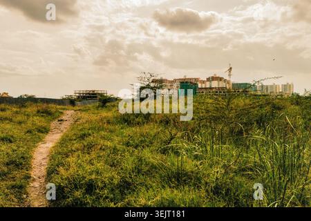 Empty dirt road passing through green grassy field with modern apartment buildings and construction cranes under a cloudy sky in Syokimau, Kenya Stock Photo