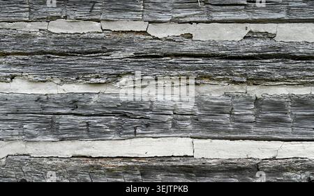 Horizontal close up of a weathered log cabin wall with flat rough cracked splintered logs, white wide cracked chinking Stock Photo