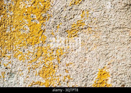 Close up of weathered yellow paint peeling from rough plaster wall creating grunge texture. Stock Photo