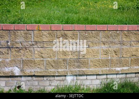 Outdoor view of a retaining wall featuring yellowish-brown textured blocks topped by reddish-brown bricks, with vibrant green grass above and below it Stock Photo