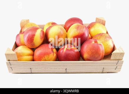 Wooden crate full of nectarine peaches on white background. Stock Photo