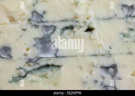 French blue cheese texture close up with mold Stock Photo