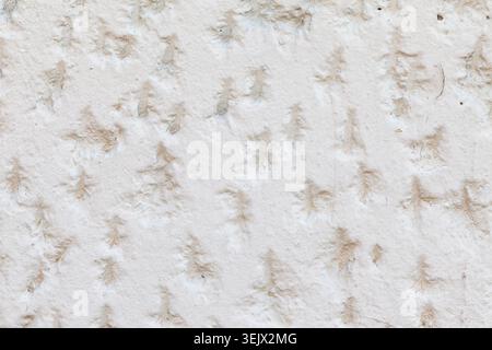 Painted вхите patterned wall plaster background Stock Photo