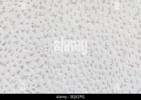 Painted вхите patterned wall plaster background Stock Photo