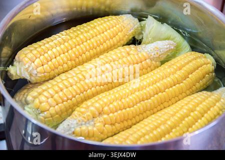 Boiled corn cobs,selective focus Stock Photo