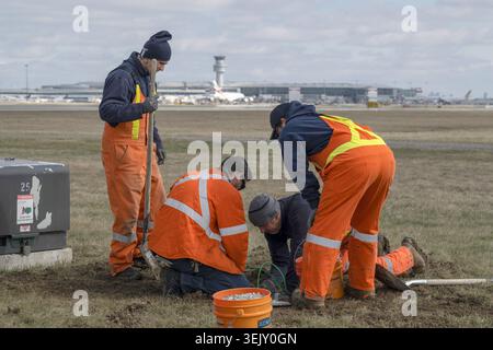 MISSISSAUGA, CANADA – APRIL 4, 2026: Airfield electrical maintenance workers and ground crew wearing high-visibility safety gear troubleshoot a runway Stock Photo