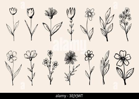 Pencil Sketch Wild Flowers and Branches Vector Set. Minimal botanical hand drawn summer flowers. Doodle floral elements collection Stock Vector