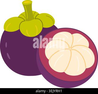 Tropical mangosteen fruit vector clipart with whole purple mangosteen and cut half showing white juicy segments. Flat illustration for exotic food packaging, juice labels, healthy lifestyle branding. Stock Vector
