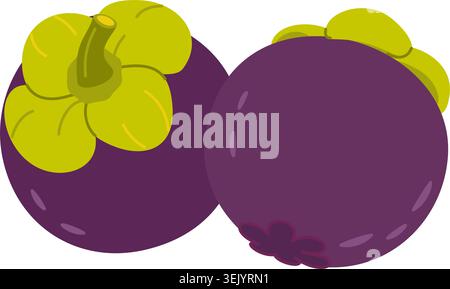 Two whole tropical purple mangosteen fruits vector illustration. Flat style clipart of exotic asian fresh fruits with green stem and rind. For organic food packaging, healthy lifestyle branding Stock Vector