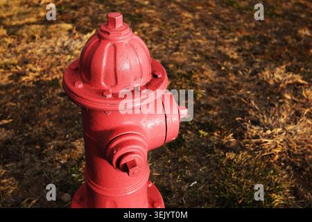 Red fire hydrant standing outdoors closeup. Emergency water supply equipment and public safety infrastructure concept. Stock Photo
