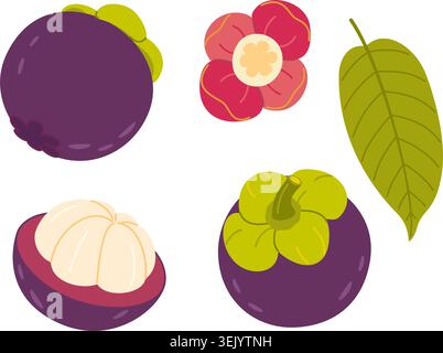 Mangosteen vector clipart set. Whole purple fruit, cross section, open half with segments, green leaf, flower sepal. Flat style for exotic food packaging, juice labels, organic cosmetics branding. Stock Vector