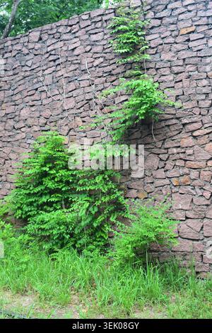 The walls are the only thing left standing of the old Engine House at Elephant Rocks State Park in Belleview, MO. Stock Photo